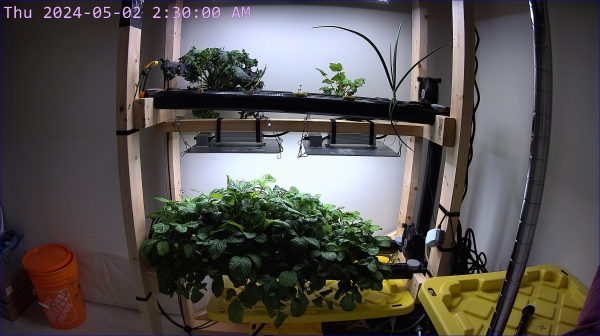 a hydroponics garden, taken from a webcam